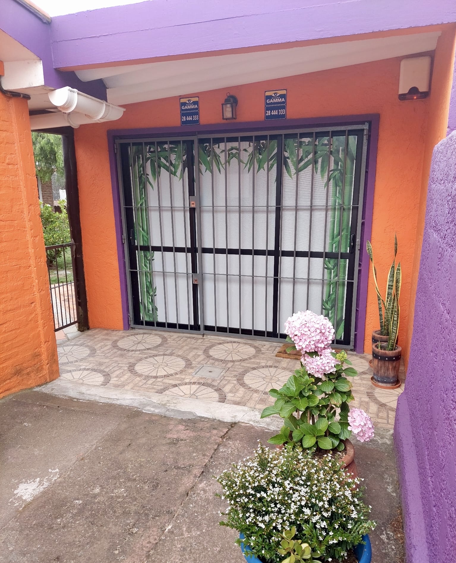 04d876b5-1adf-420a-8bd4-ccc70cc1069a